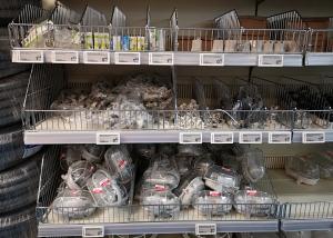 IMG 20180905 133625-300x214